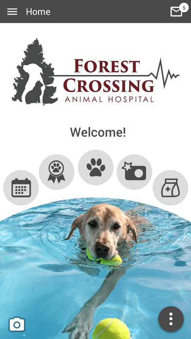 Emulate iPhone app Forest Crossing AH using MyAndroid Emulate iPhone app Forest Crossing AH using MyAndroid