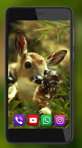 Run android online APK Forest Deers and Elks from MyAndroid or emulate Forest Deers and Elks using MyAndroid