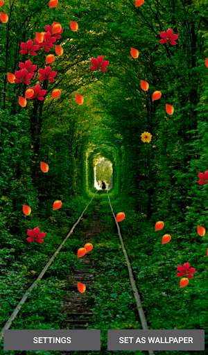 Emulate Android APK Forest Live Wallpapers