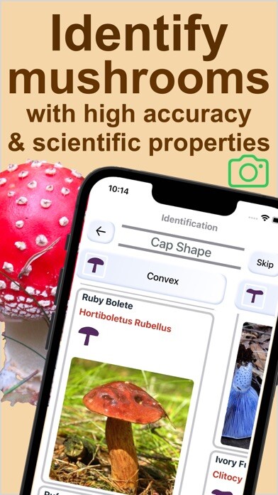 Emulate iPhone app Forest Mushroom Identification using MyAndroid Emulate iPhone app Forest Mushroom Identification using MyAndroid
