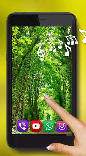 Run android online APK Forest Music Live Wallpaper from MyAndroid or emulate Forest Music Live Wallpaper using MyAndroid