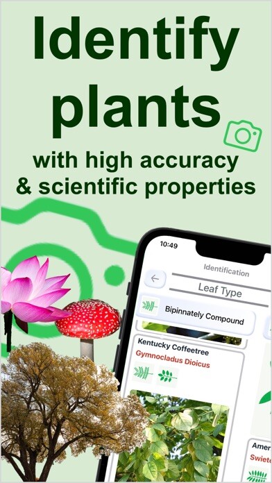 Emulate iPhone app Forest Plant Identification using MyAndroid Emulate iPhone app Forest Plant Identification using MyAndroid