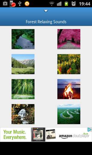 Run android online APK Forest Relaxing Sounds from MyAndroid or emulate Forest Relaxing Sounds using MyAndroid