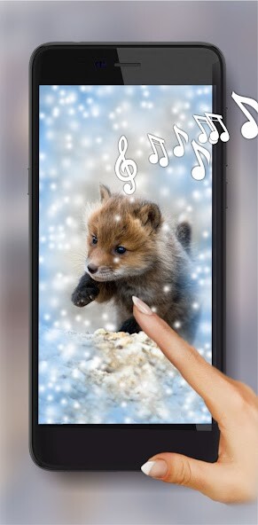 Run android online APK Forest Snowy Animals HD from MyAndroid or emulate Forest Snowy Animals HD using MyAndroid