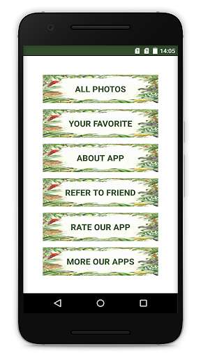 Run android online APK Forests Trees Backgrounds & Jungle Wallpapers from MyAndroid or emulate Forests Trees Backgrounds & Jungle Wallpapers using MyAndroid Run android online APK Forests Trees Backgrounds & Jungle Wallpapers from MyAndroid or emulate Forests Trees Backgrounds & Jungle Wallpapers using MyAndroid