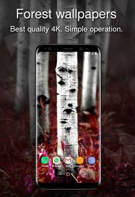 Emulate Android APK Forest wallpapers 4k