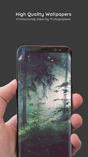 Run android online APK Forest Wallpapers HD 4K Forest Background & Photos from MyAndroid or emulate Forest Wallpapers HD 4K Forest Background & Photos using MyAndroid