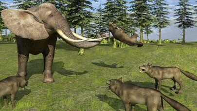 Emulate iPhone app Forest Wild Life Simulator 3D using MyAndroid Emulate iPhone app Forest Wild Life Simulator 3D using MyAndroid