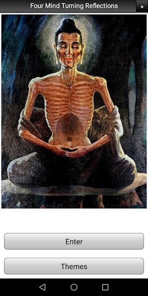 Run android online APK Four Mind Turning Reflections from MyAndroid or emulate Four Mind Turning Reflections using MyAndroid