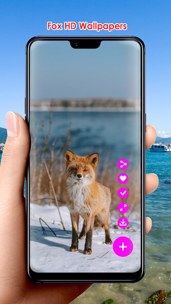 Run android online APK Fox HD Wallpapers from MyAndroid or emulate Fox HD Wallpapers using MyAndroid Run android online APK Fox HD Wallpapers from MyAndroid or emulate Fox HD Wallpapers using MyAndroid
