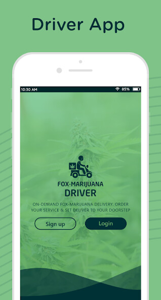 Run android online APK Fox-Marijuana Driver App from MyAndroid or emulate Fox-Marijuana Driver App using MyAndroid
