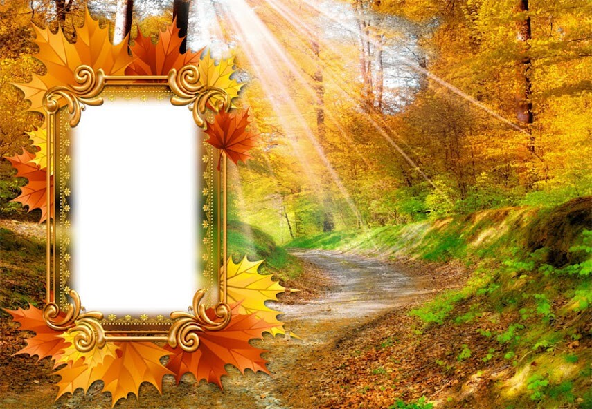 Run android online APK Frame Autumn from MyAndroid or emulate Frame Autumn using MyAndroid Run android online APK Frame Autumn from MyAndroid or emulate Frame Autumn using MyAndroid