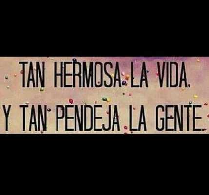 Emulate Android APK Frases Pendejas