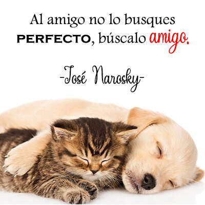 Run android online APK Frases sabias - Frases de vida from MyAndroid or emulate Frases sabias - Frases de vida using MyAndroid