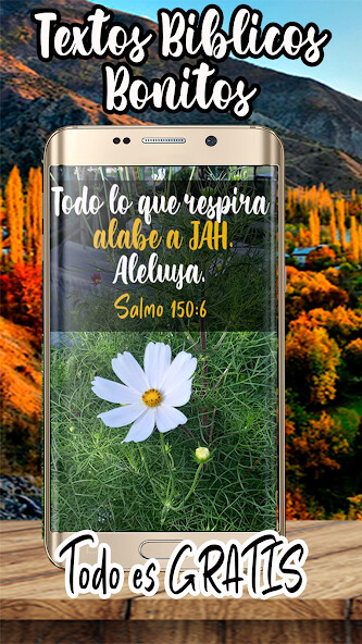 Run android online APK Frases y Textos Bíblicos from MyAndroid or emulate Frases y Textos Bíblicos using MyAndroid