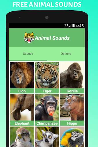 Run android online APK Free Animal Sounds from MyAndroid or emulate Free Animal Sounds using MyAndroid