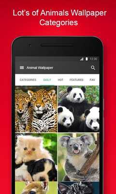 Emulate Android APK Free Animal Wallpaper Emulate Android APK Free Animal Wallpaper