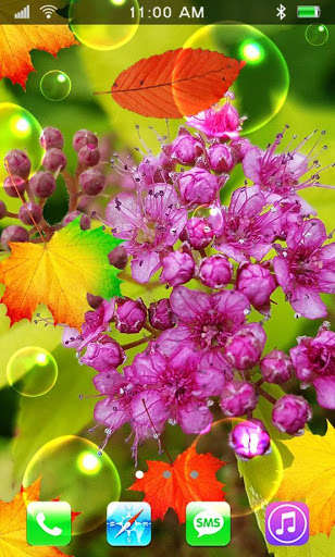 Run android online APK Free Autumn Wallpaper from MyAndroid or emulate Free Autumn Wallpaper using MyAndroid