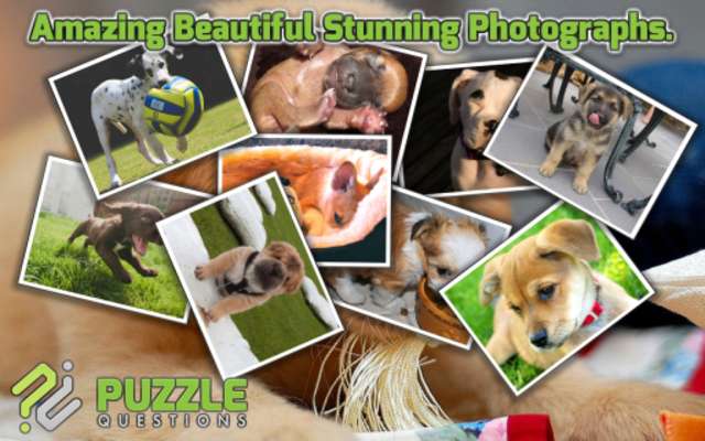 Emulate Android APK Free Cute Puppy Puzzle Games