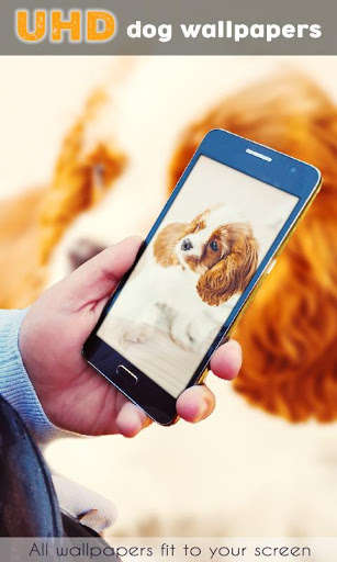Run android online APK Free Dog Wallpapers from MyAndroid or emulate Free Dog Wallpapers using MyAndroid Run android online APK Free Dog Wallpapers from MyAndroid or emulate Free Dog Wallpapers using MyAndroid