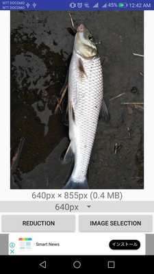 Emulate Android APK (Free)ImageReduction