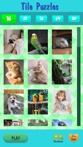 Run android online APK Free Jigsaw Tile Pets from MyAndroid or emulate Free Jigsaw Tile Pets using MyAndroid