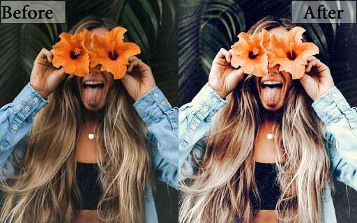 Run android online APK Free Presets - Lightroom Mobile Presets & Filter from MyAndroid or emulate Free Presets - Lightroom Mobile Presets & Filter using MyAndroid