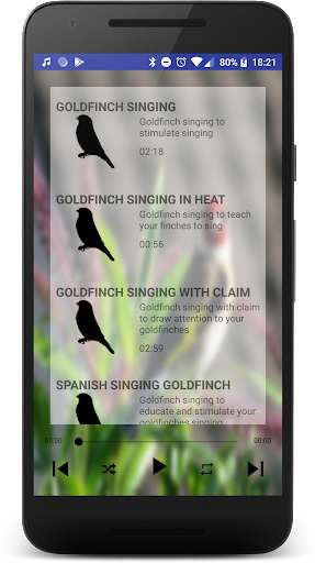 Emulate Android APK Free Singing goldfinches Emulate Android APK Free Singing goldfinches