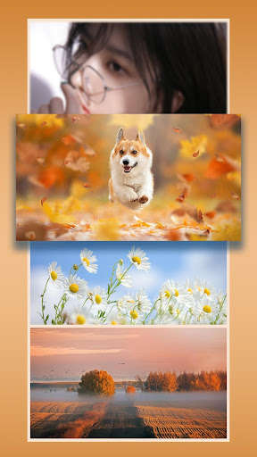 Run android online APK Free Wallpapers & Backgrounds,4K,HD from MyAndroid or emulate Free Wallpapers & Backgrounds,4K,HD using MyAndroid Run android online APK Free Wallpapers & Backgrounds,4K,HD from MyAndroid or emulate Free Wallpapers & Backgrounds,4K,HD using MyAndroid