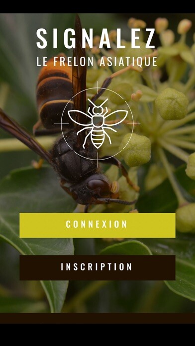 Emulate iPhone app Frelon Asiatique using MyAndroid