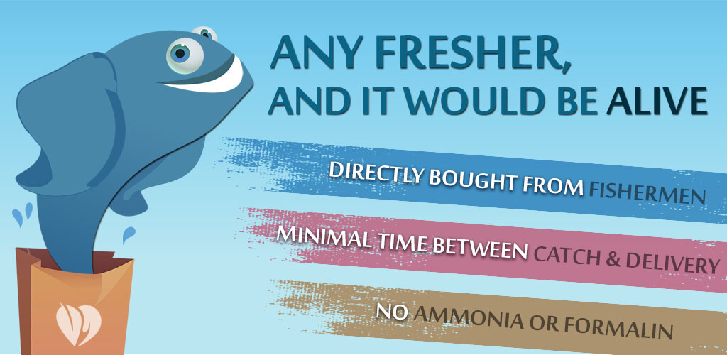 Run android online APK Fresh  Fetch from MyAndroid or emulate Fresh  Fetch using MyAndroid