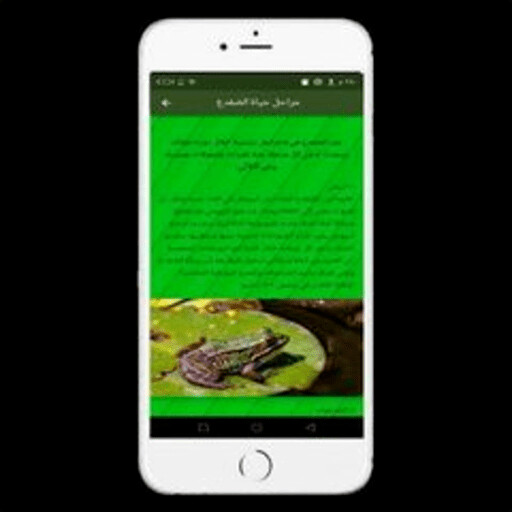 Run android online APK frog life from MyAndroid or emulate frog life using MyAndroid