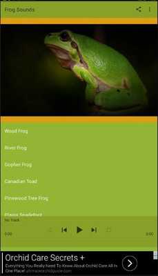 Emulate Android APK Frog Sounds Fun Emulate Android APK Frog Sounds Fun
