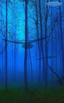 Emulate Android APK From the Darkness of Halloween Emulate Android APK From the Darkness of Halloween