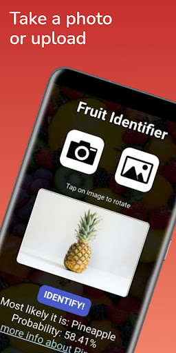 Run android online APK Fruit Identifier from MyAndroid or emulate Fruit Identifier using MyAndroid
