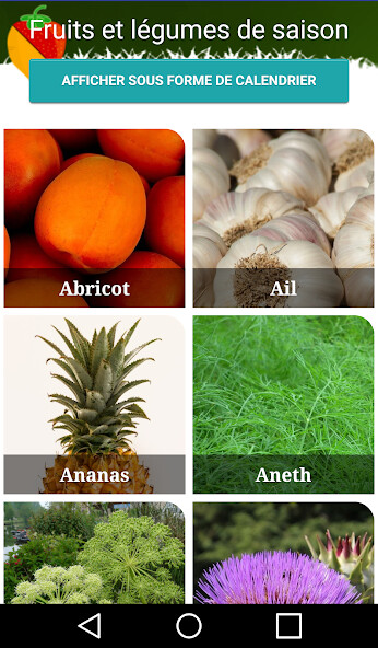 Run android online APK Fruits et légumes de saison from MyAndroid or emulate Fruits et légumes de saison using MyAndroid Run android online APK Fruits et légumes de saison from MyAndroid or emulate Fruits et légumes de saison using MyAndroid