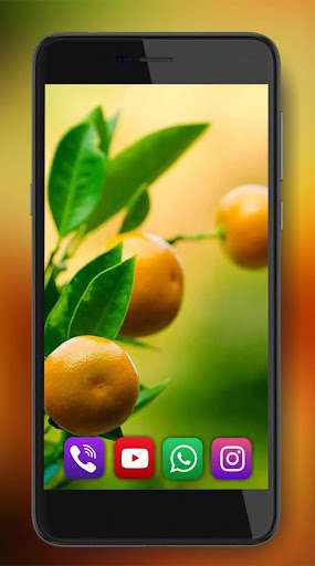 Run android online APK Fruits Juicy Live Wallpaper from MyAndroid or emulate Fruits Juicy Live Wallpaper using MyAndroid
