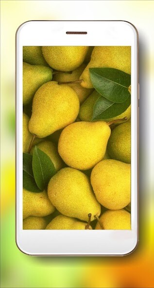 Run android online APK Fruits n Berries from MyAndroid or emulate Fruits n Berries using MyAndroid