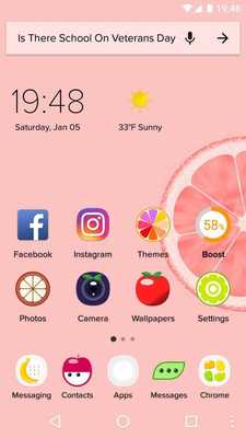 Emulate Android APK Fruit Theme - Fruit wallpaper  icon