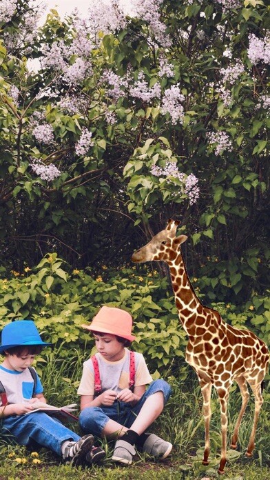 Emulate iPhone app Fun Animal photos using MyAndroid Emulate iPhone app Fun Animal photos using MyAndroid