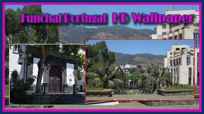 Emulate Android APK Funchal Portugal HD Wallpaper Emulate Android APK Funchal Portugal HD Wallpaper