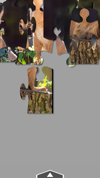 Run android online APK Fun Jigsaw Puzzle from MyAndroid or emulate Fun Jigsaw Puzzle using MyAndroid Run android online APK Fun Jigsaw Puzzle from MyAndroid or emulate Fun Jigsaw Puzzle using MyAndroid