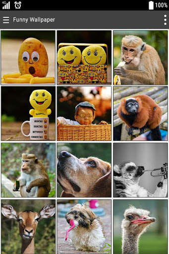 Run android online APK Funny 4k Wallpaper from MyAndroid or emulate Funny 4k Wallpaper using MyAndroid Run android online APK Funny 4k Wallpaper from MyAndroid or emulate Funny 4k Wallpaper using MyAndroid