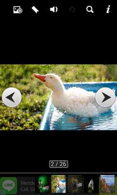 Emulate Android APK Funny Animal Clips Emulate Android APK Funny Animal Clips