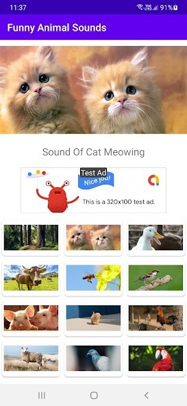 Run android online APK Funny Animal Sounds from MyAndroid or emulate Funny Animal Sounds using MyAndroid