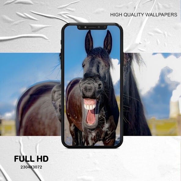 Run android online APK funny animal wallpaper from MyAndroid or emulate funny animal wallpaper using MyAndroid Run android online APK funny animal wallpaper from MyAndroid or emulate funny animal wallpaper using MyAndroid