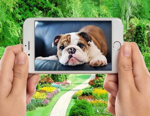 Emulate Android APK Funny Bulldog Wallpapers Emulate Android APK Funny Bulldog Wallpapers