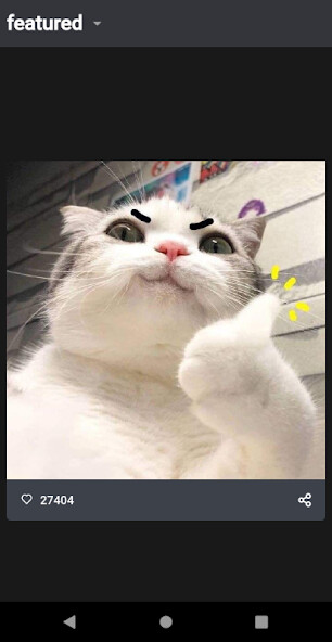 Run android online APK Funny Cat Videos and Pictures, Funny Cat Memes from MyAndroid or emulate Funny Cat Videos and Pictures, Funny Cat Memes using MyAndroid Run android online APK Funny Cat Videos and Pictures, Funny Cat Memes from MyAndroid or emulate Funny Cat Videos and Pictures, Funny Cat Memes using MyAndroid