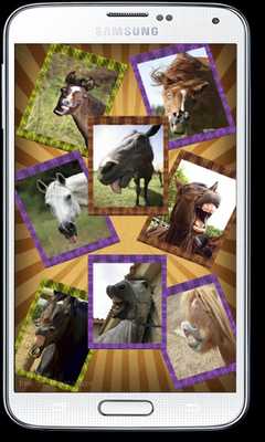 Emulate Android APK Funny Horses Faces Matching Emulate Android APK Funny Horses Faces Matching
