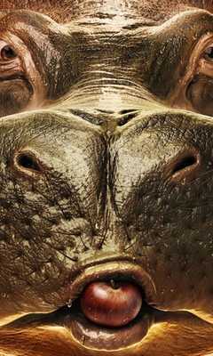 Emulate Android APK Funny humor Jigsaw Puzzles